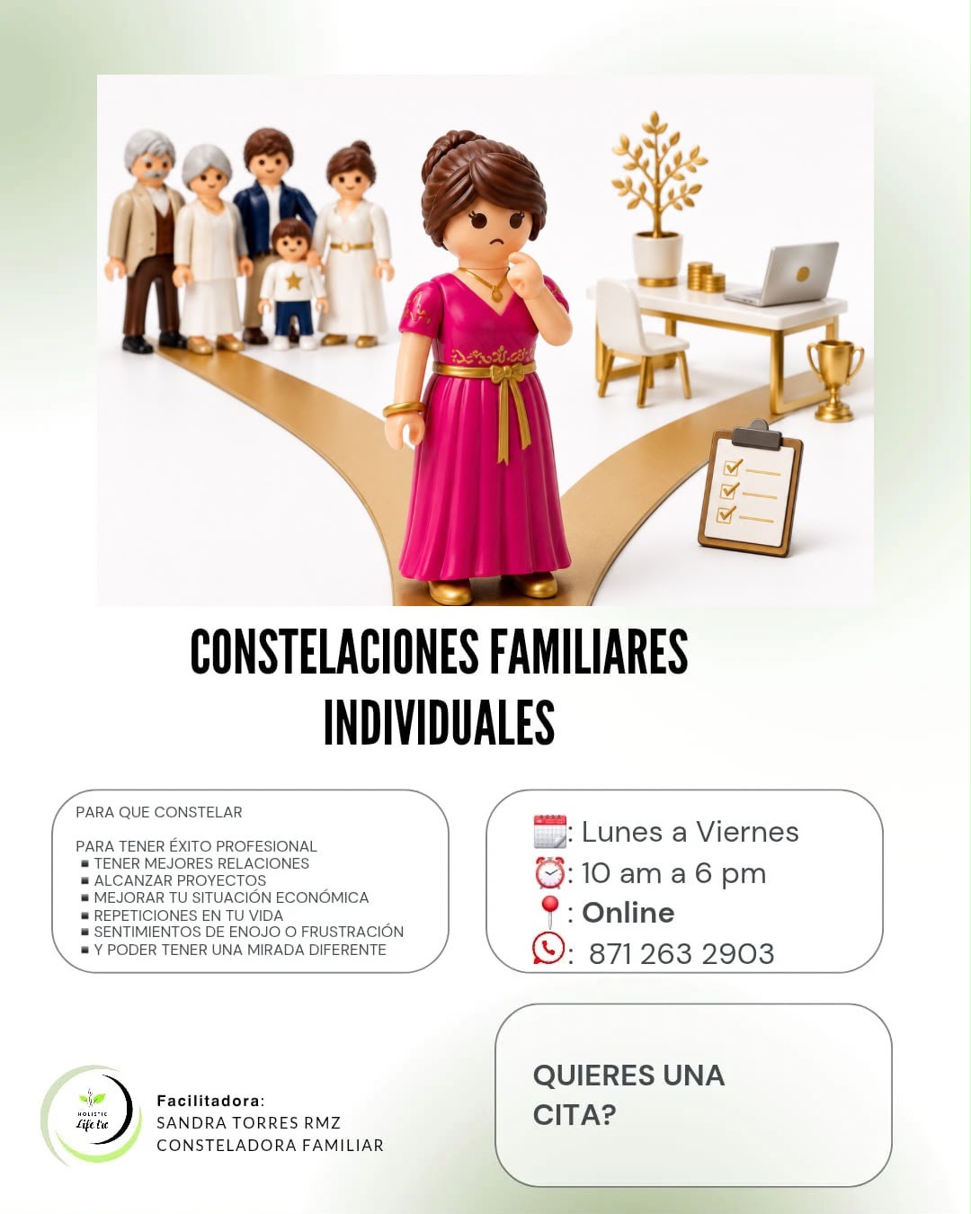 Constelaciones Familiares - Individuales (Online)