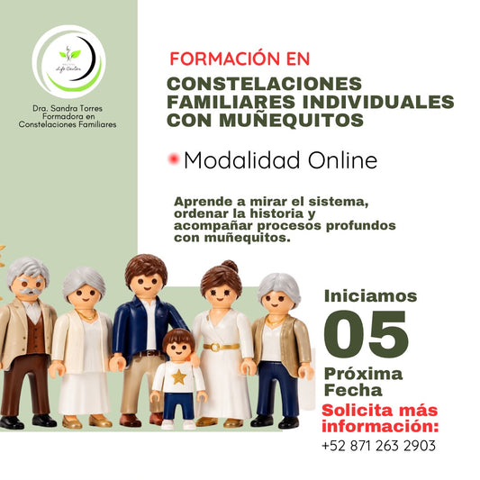 Formación de Constelaciones Familiares Individuales con Muñequitos Online | 3 pagos bimestrales $5,360 MXN